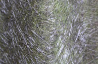 Millden fibreglass roof work