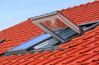 Millden roof window